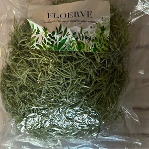 10.5 ounces of fake moss from Floerve 8x8x1.5 inches
